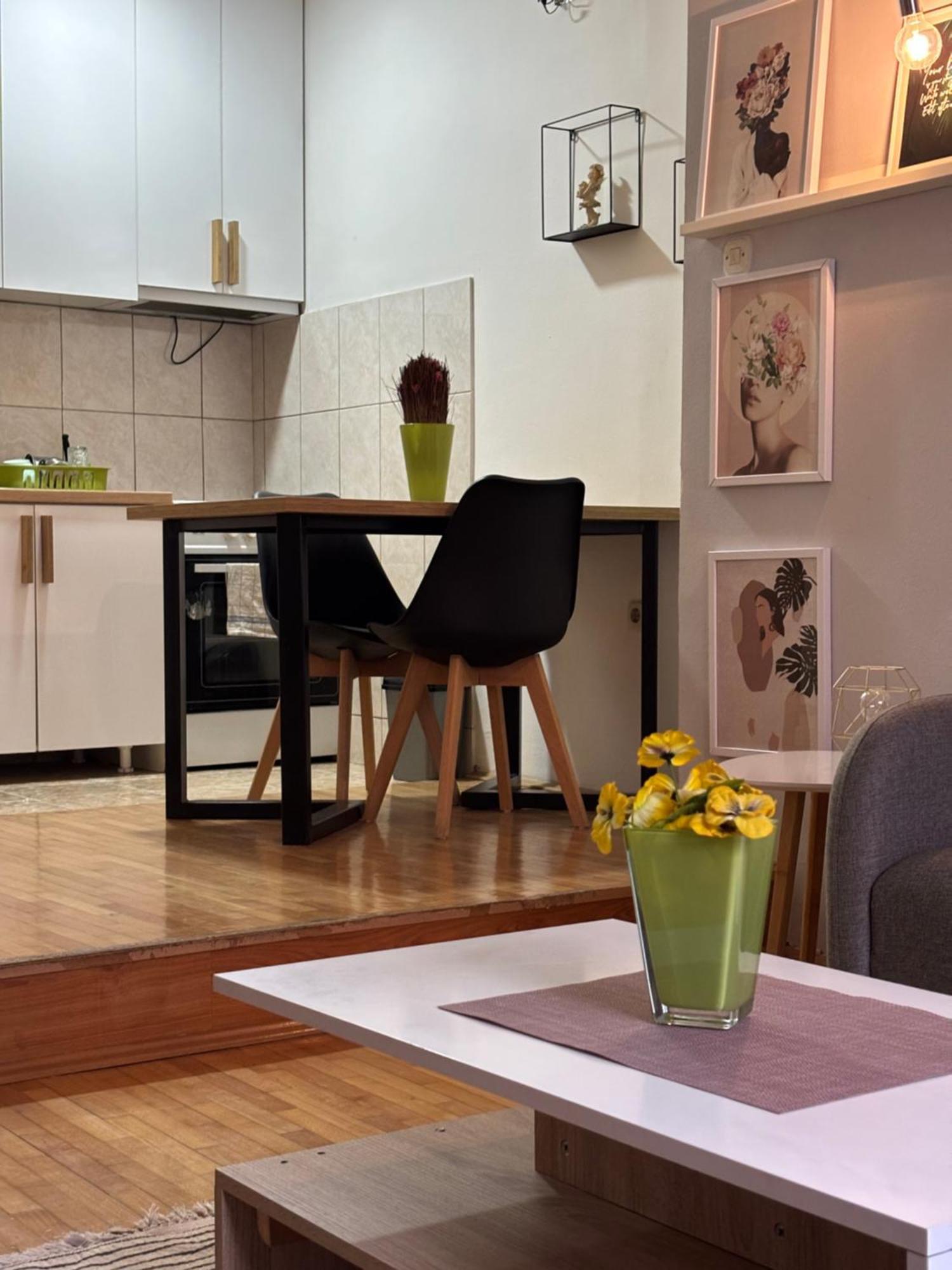 Mia'S Duplex Apartment Скоп'є Екстер'єр фото