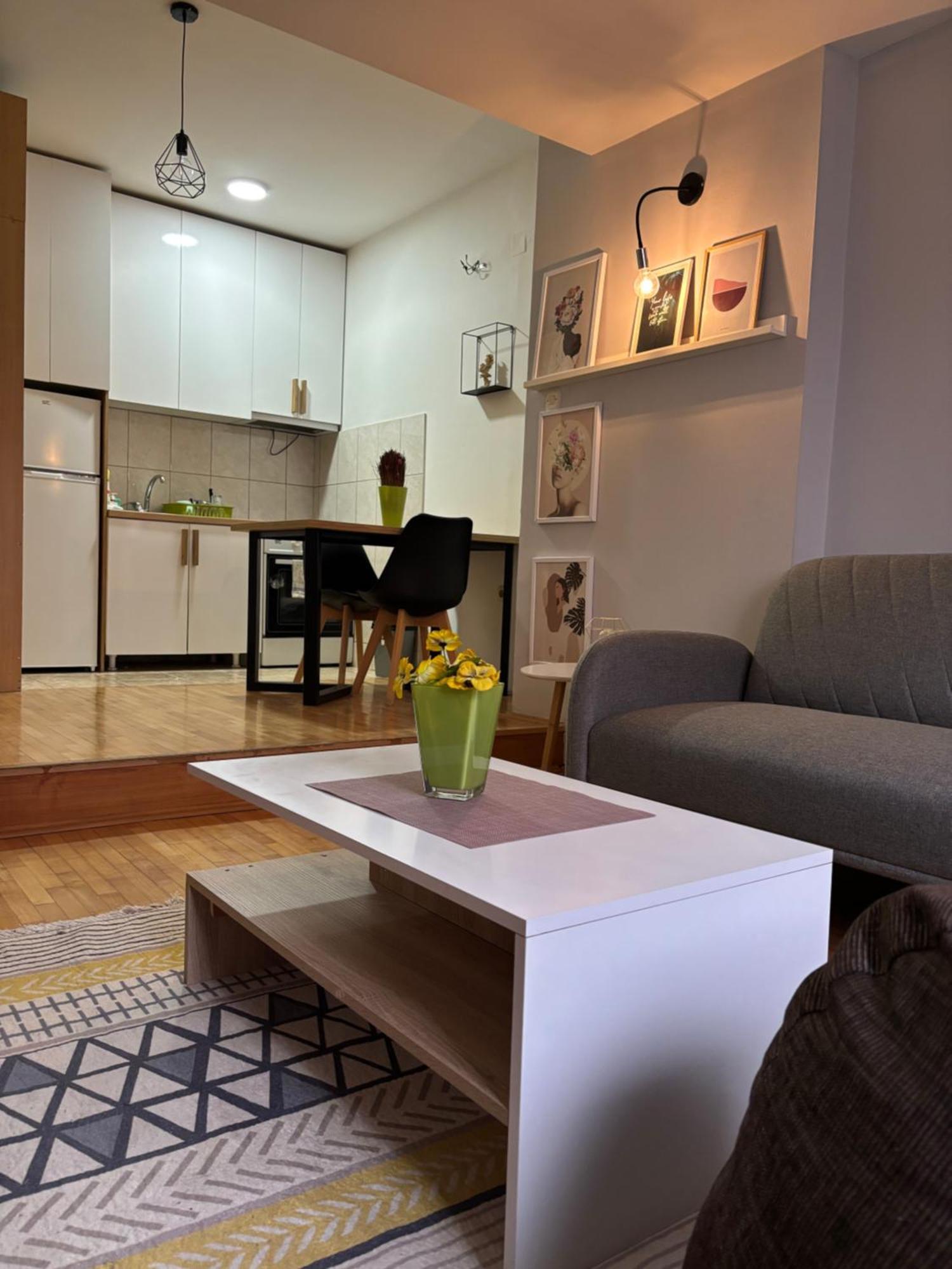 Mia'S Duplex Apartment Скоп'є Екстер'єр фото