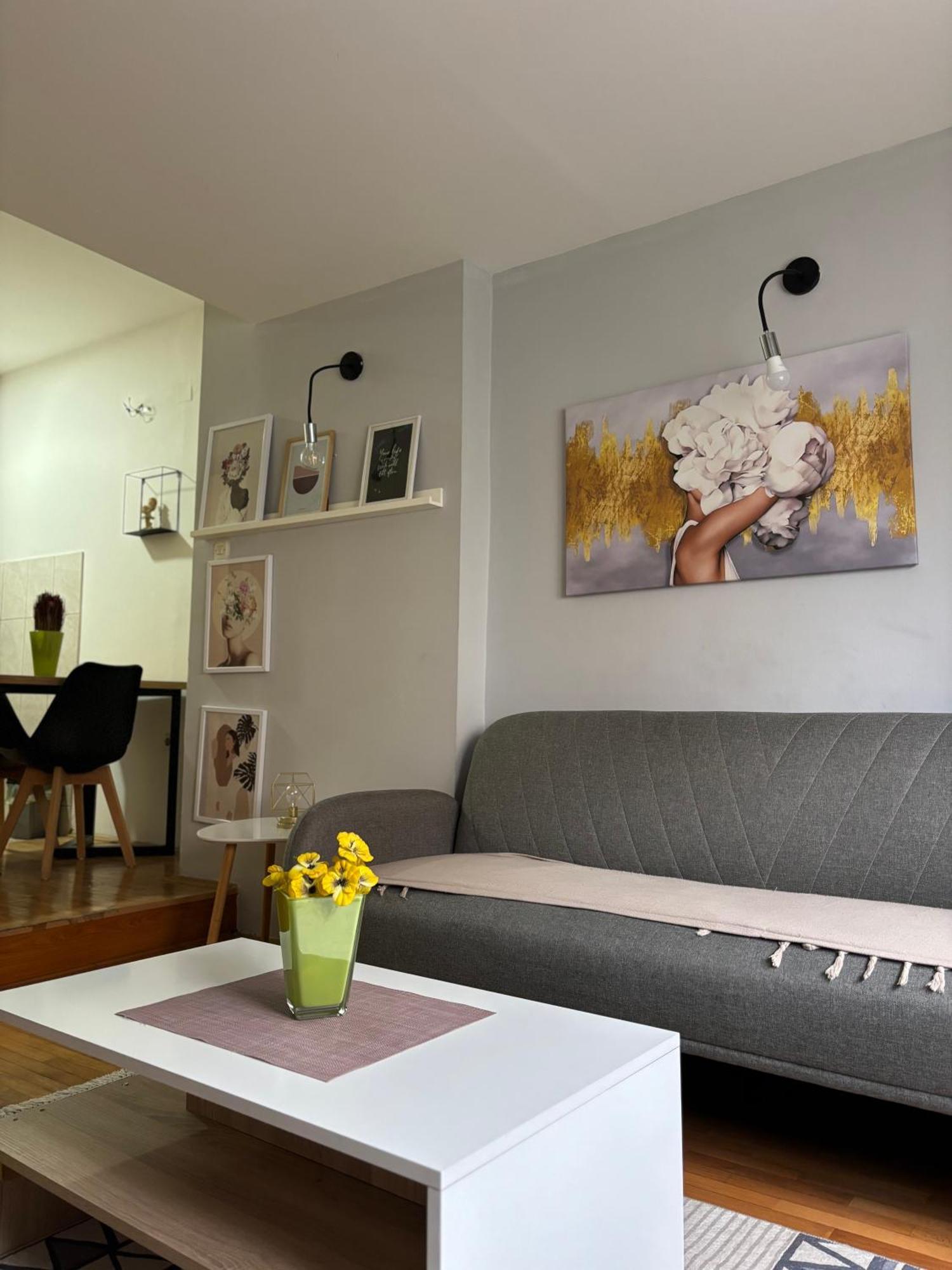 Mia'S Duplex Apartment Скоп'є Екстер'єр фото